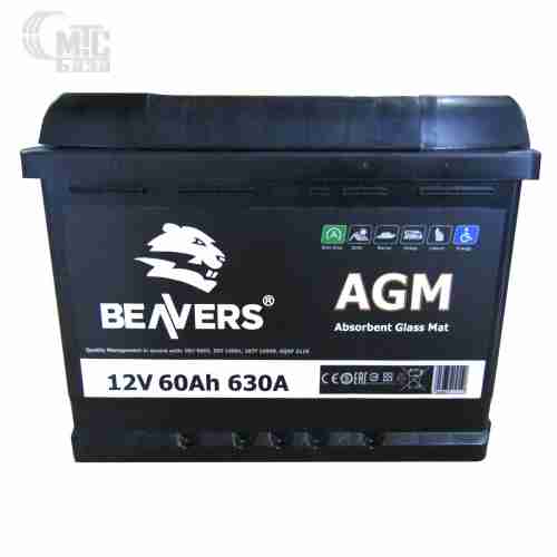 Аккумулятор Beavers 6СТ-60 AGM АзЕ R (L2 56002)   630A 242x175x190мм  Польша